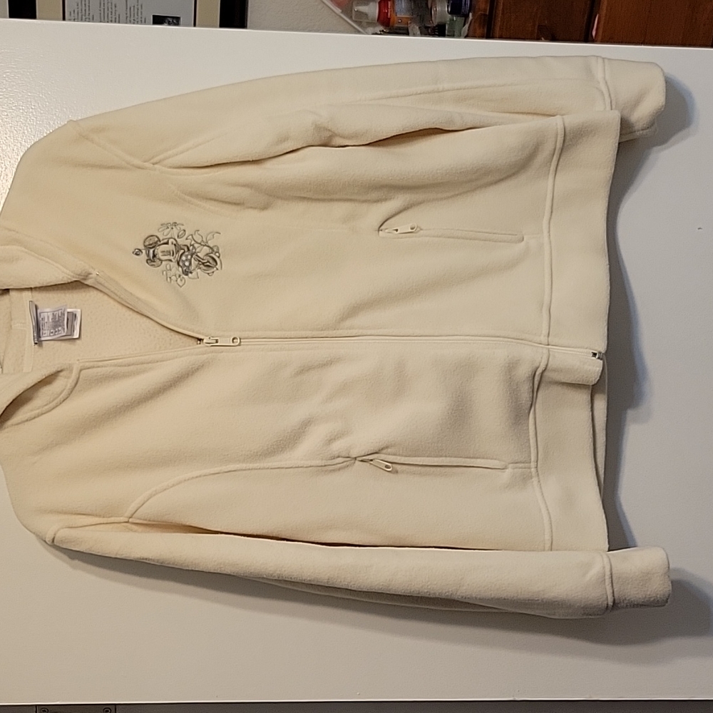 Disneyland hoodie with mini mouse